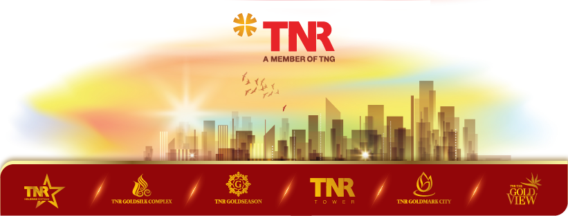 Giới thiệu chủ đầu tư TNR Holding